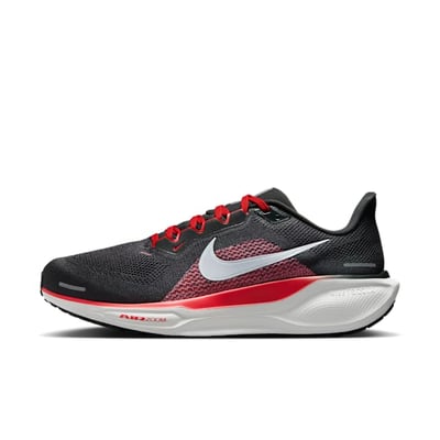 Nike Pegasus 41 FN4932-005