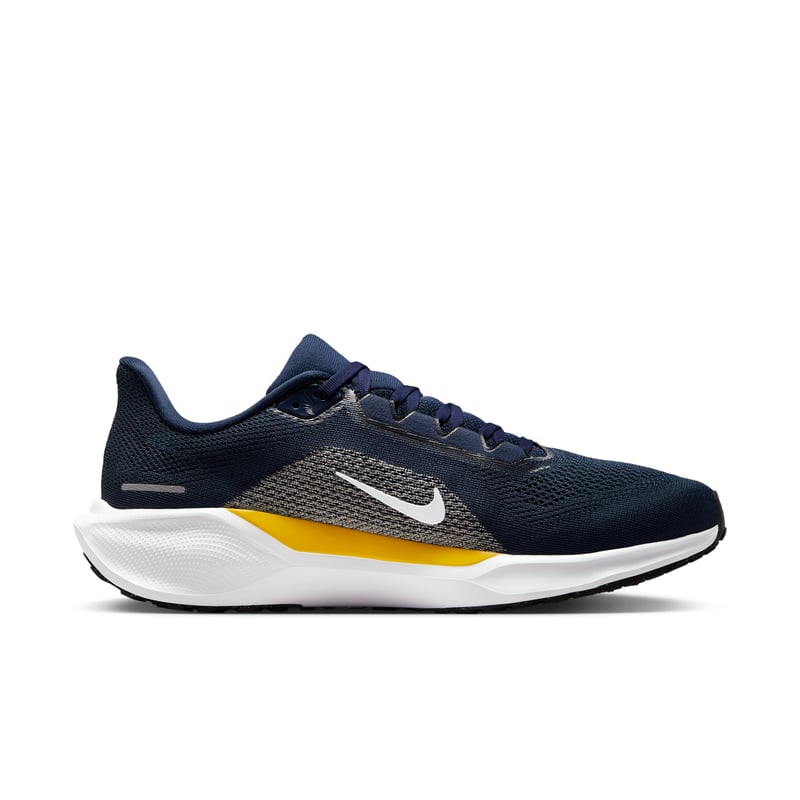 Nike Pegasus 41 IB3269-400 03