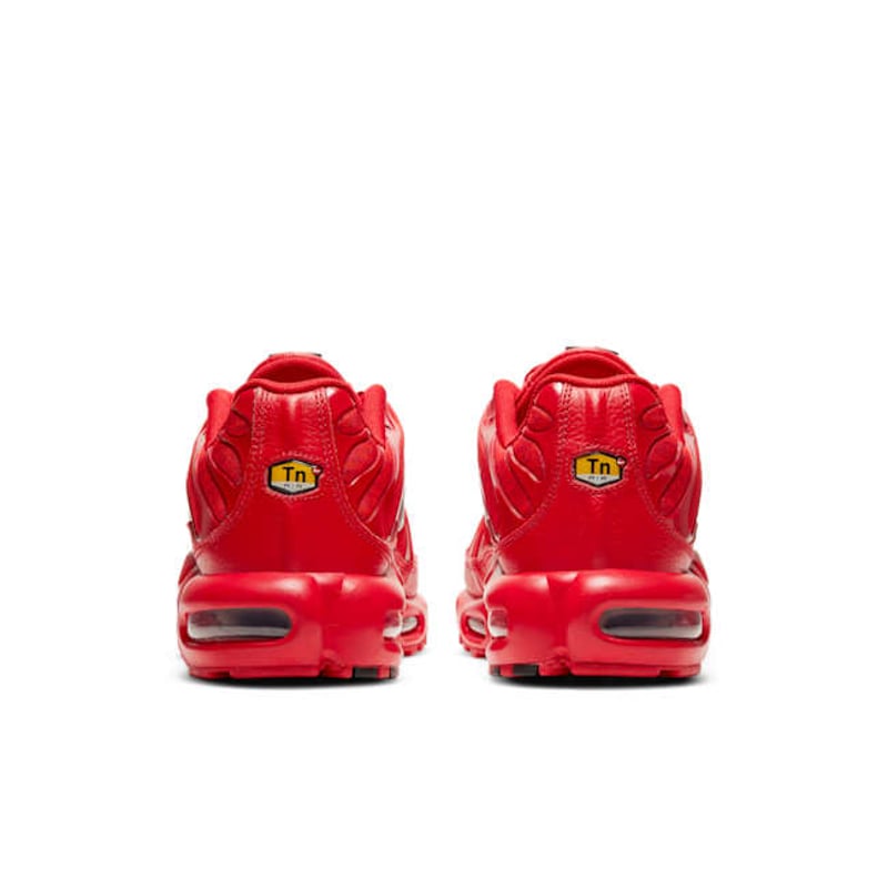 Nike Air Max Plus DD9609-600 06