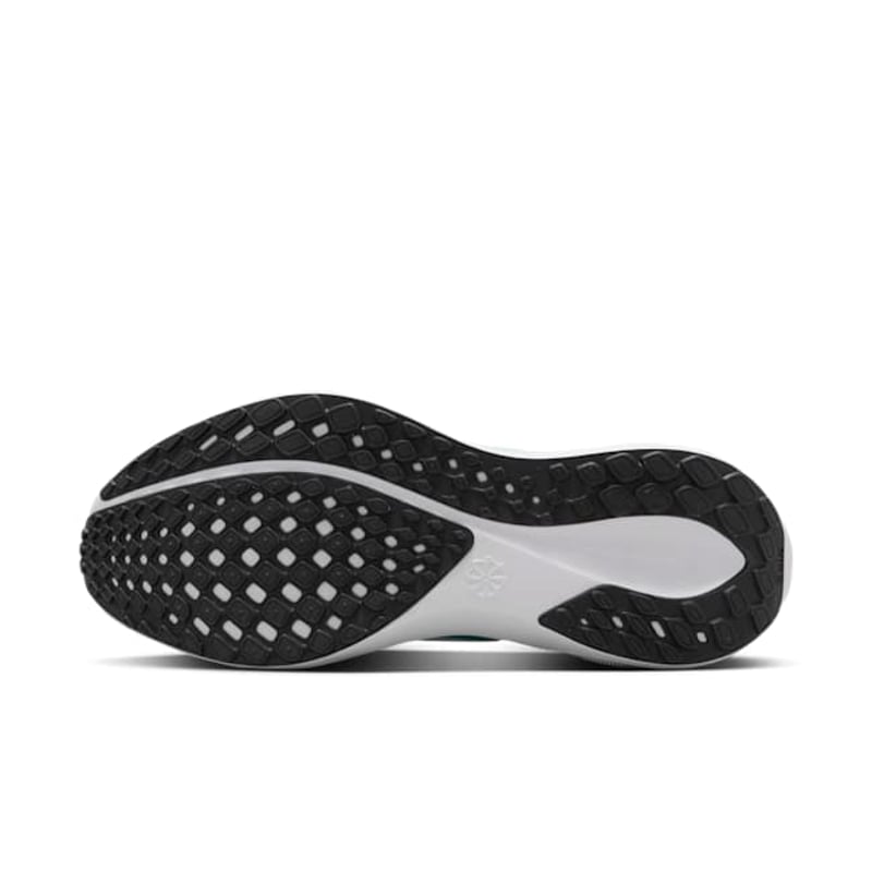Nike Pegasus 41 FD2723-401 02