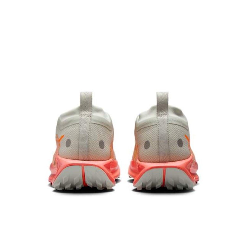 Nike Pegasus Trail 5 GORE-TEX FQ0912-004 06