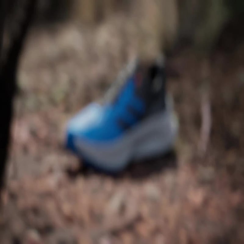 adidas Terrex Soulstride Flow IH3447 02