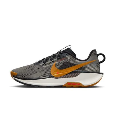 Nike Pegasus Trail 5 DV3864-009 01
