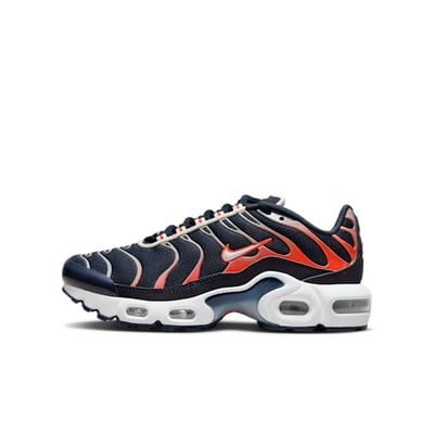 Nike Air Max Plus CD0609-408