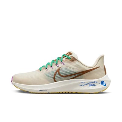 Nike Pegasus 39 Premium DV8922-100