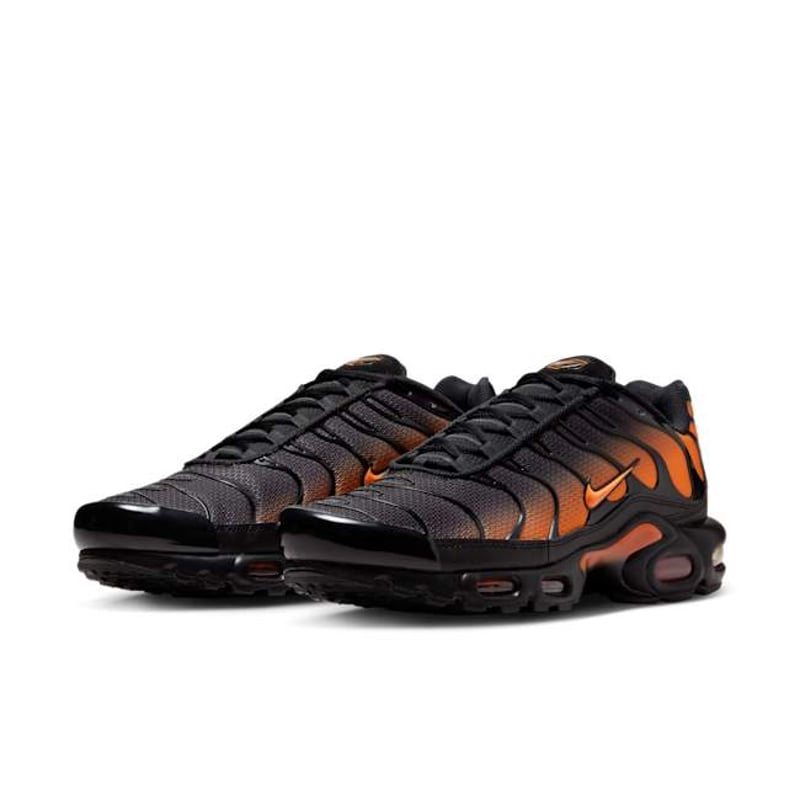 Nike Air Max Plus DM0032-025 05