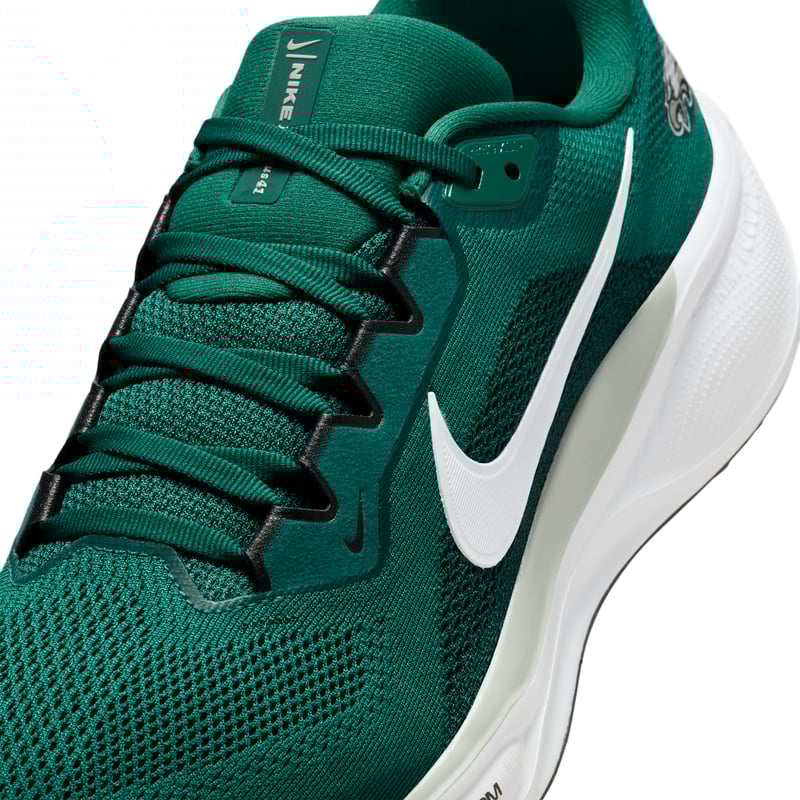 Nike Pegasus 41 x NFL IB3215-300 07