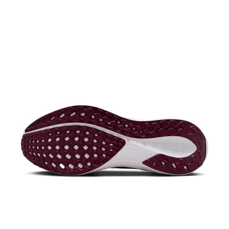 Nike Pegasus 41 FZ5152-600 02