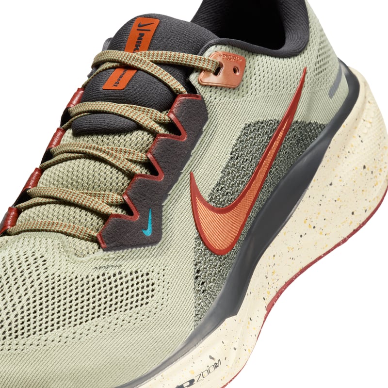 Nike Pegasus 41 II4472-371 07
