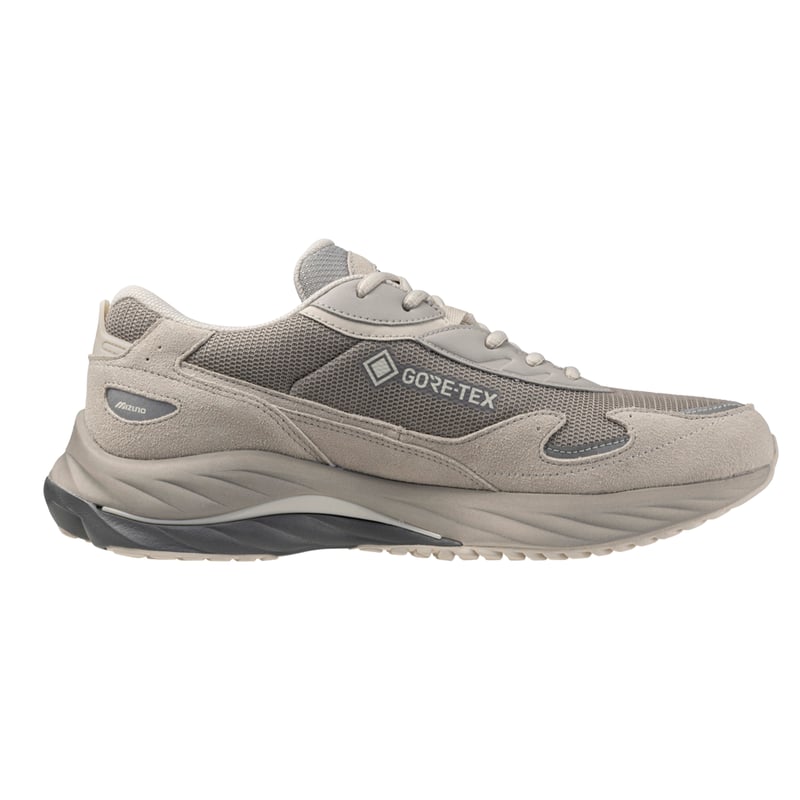 Mizuno Wave Rider Beta GORE-TEX D1GA245204 03
