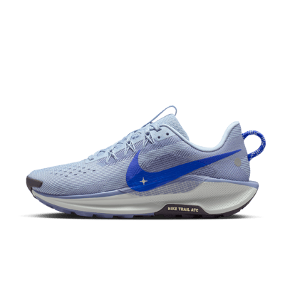 Nike Pegasus Trail 5 DV3865-403