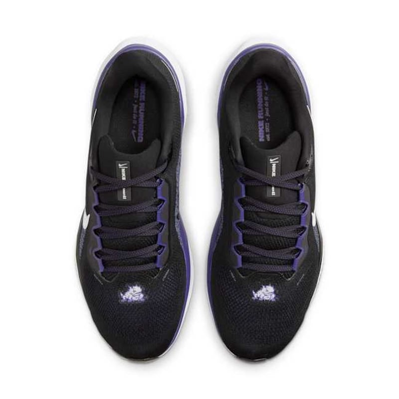 Nike Pegasus 41 FZ5143-001 04
