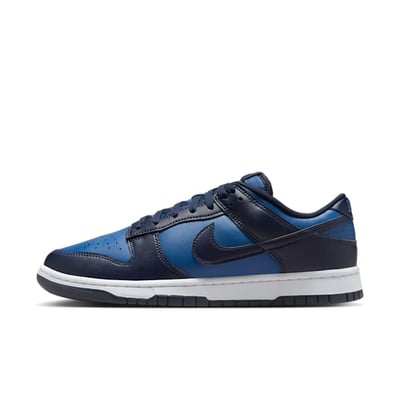 Nike Dunk Low HF5441-402