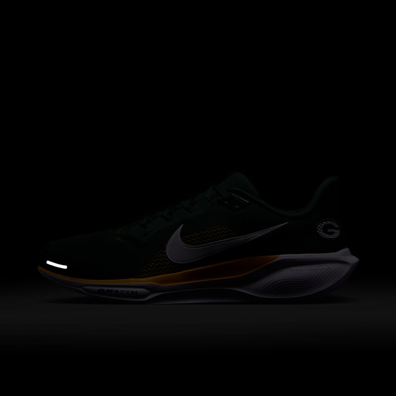 Nike Pegasus 41 x NFL IB3216-300 09