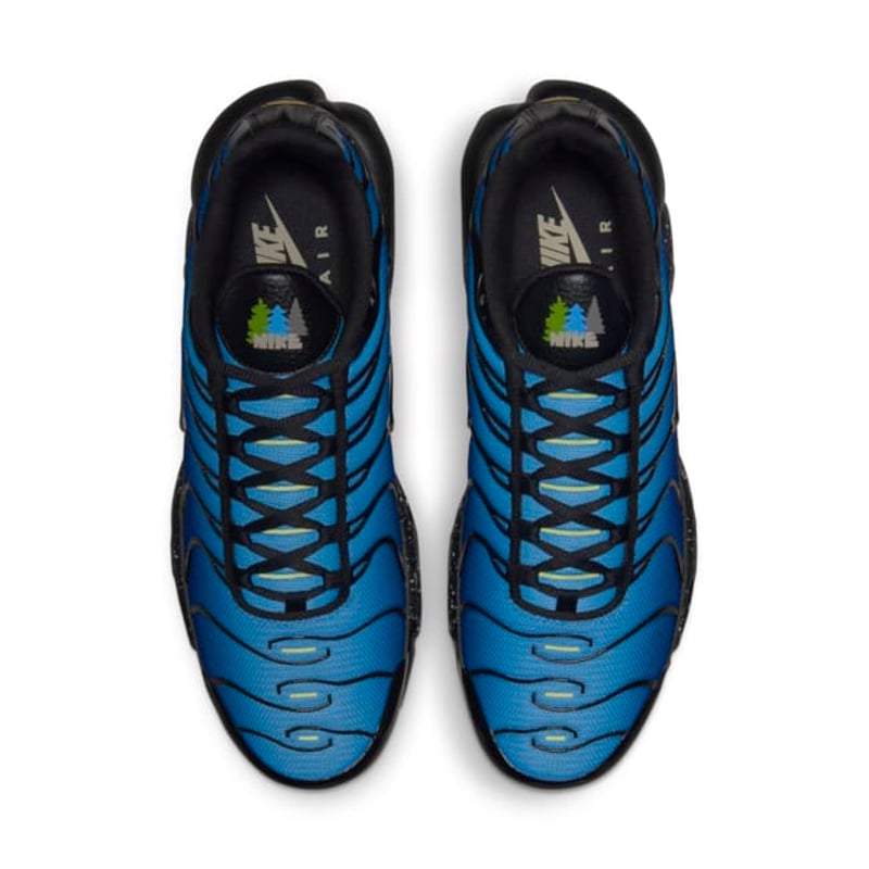 Nike Air Max Plus DV3493-001 04
