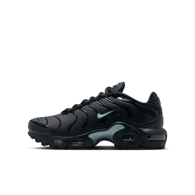 Nike Air Max Plus IF6169-010 01