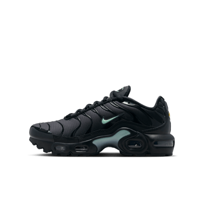 Nike Air Max Plus IF6169-010