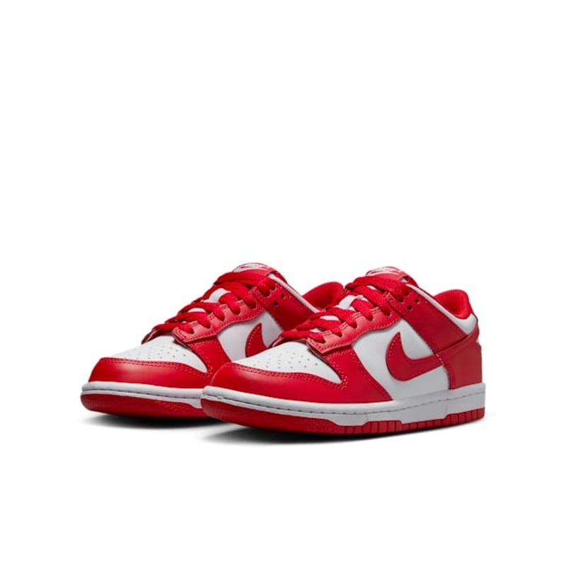 Nike Dunk Low FB9109-119 05