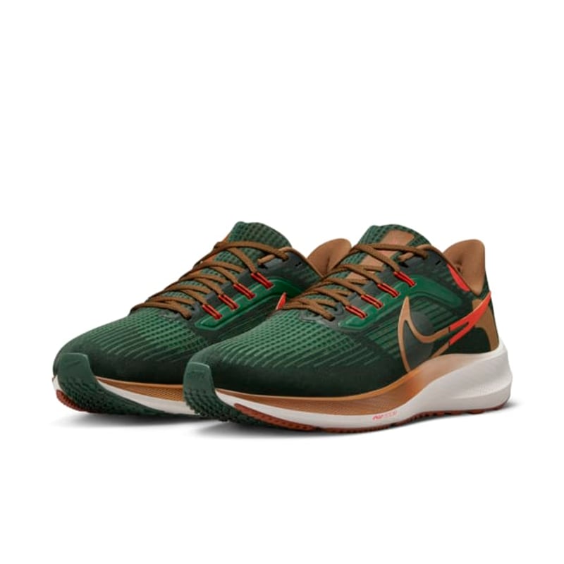 Nike Air Zoom Pegasus 39 A.I.R. Hola Lou DO9500-300 05