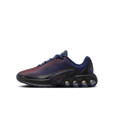 Nike Air Max Dn IH7675-600