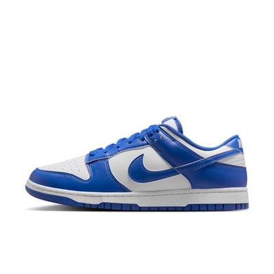 Nike Dunk Low HF5441-112