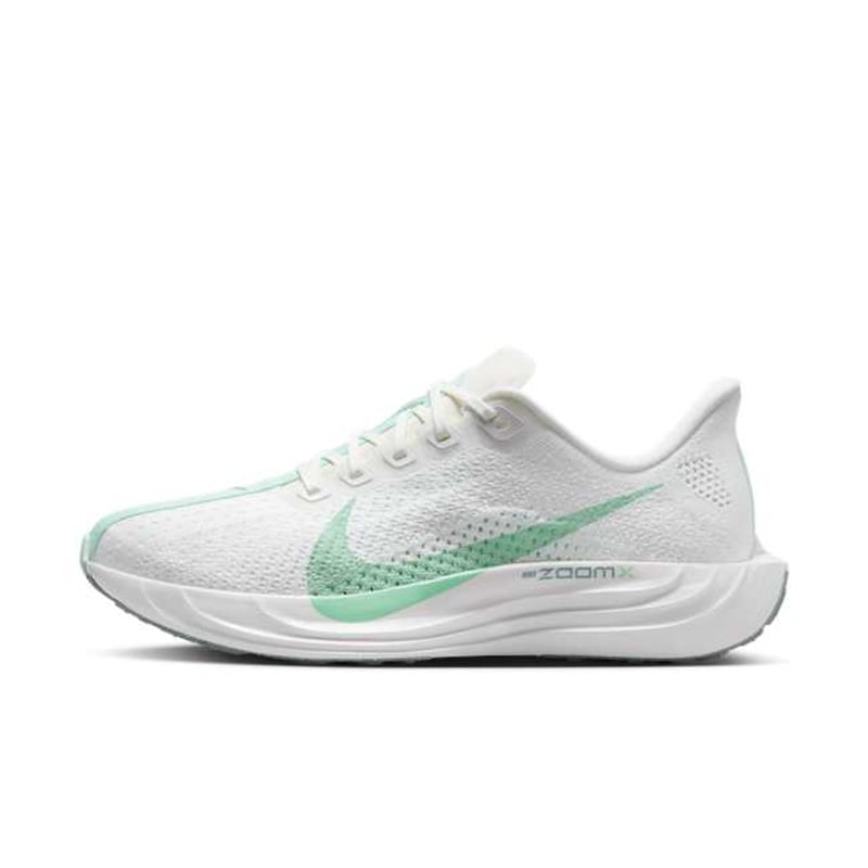 Nike Pegasus Plus FQ7261-103 01