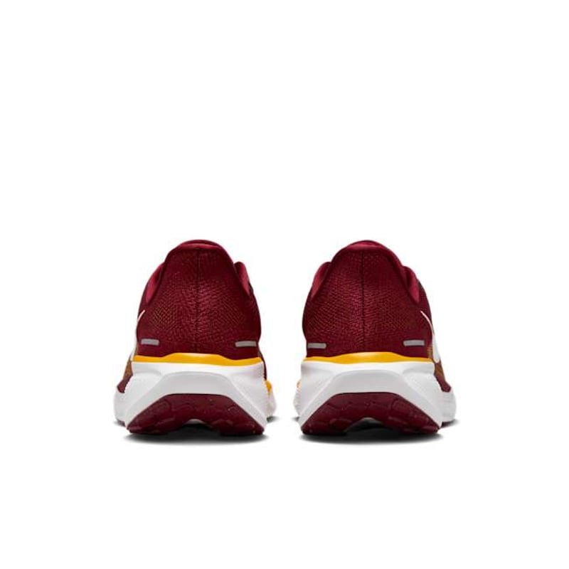 Nike Pegasus 41 x NFL FZ5069-600 06
