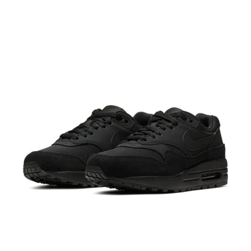 Nike Air Max 1 319986-045 05