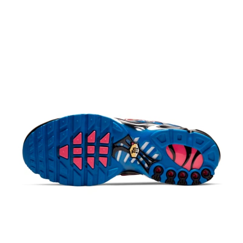 Nike Air Max Plus CT1618-400 02