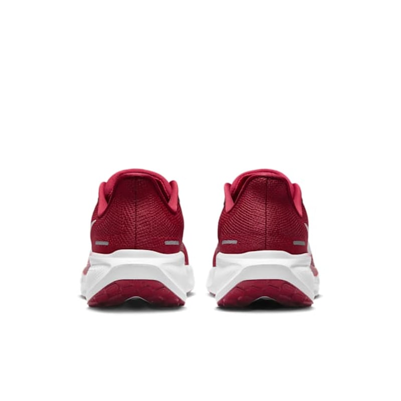 Nike Pegasus 41 FZ5103-600 06