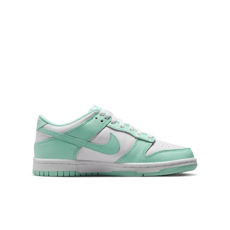 Nike Dunk Low FZ3534-100 03