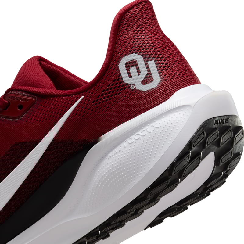 Nike Pegasus 41 FZ5137-601 08