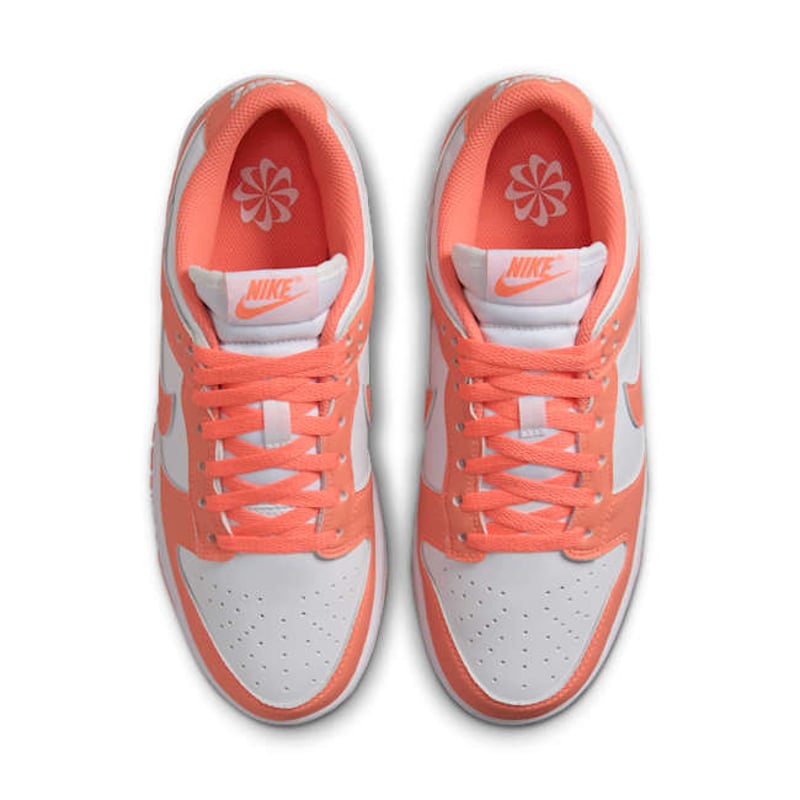 Nike Dunk Low DD1873-109 04