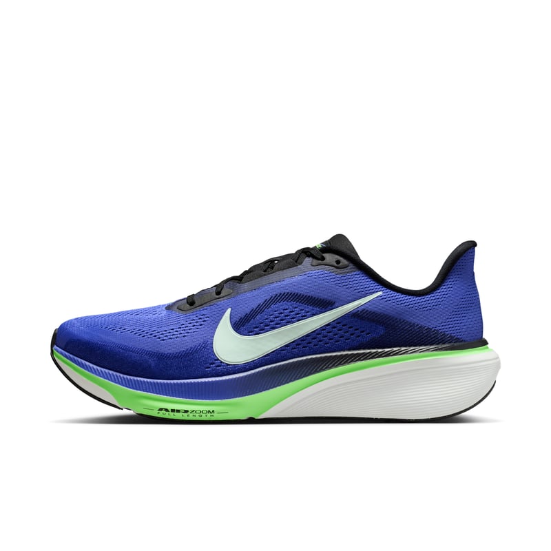 Nike Pegasus 42 IB1873-500 01