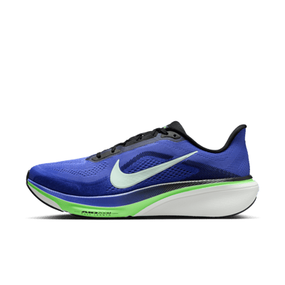 Nike Pegasus 42 IB1873-500