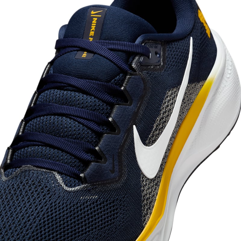 Nike Pegasus 41 IB3269-400 07