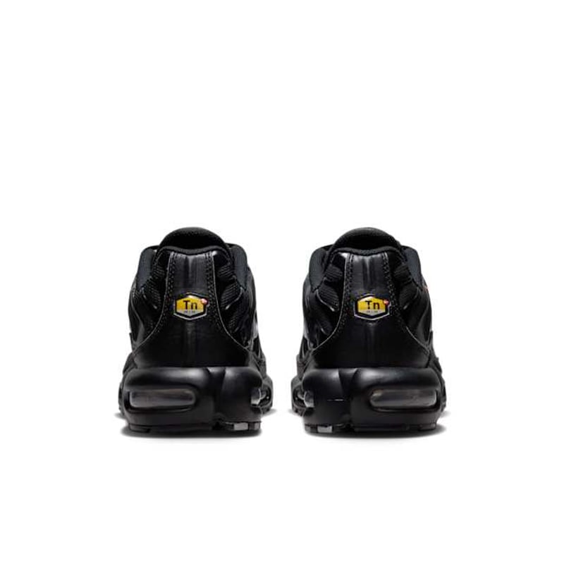 Nike Air Max Plus FJ4224-001 06
