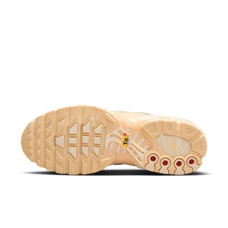 Nike Air Max Plus FQ2765-100 02