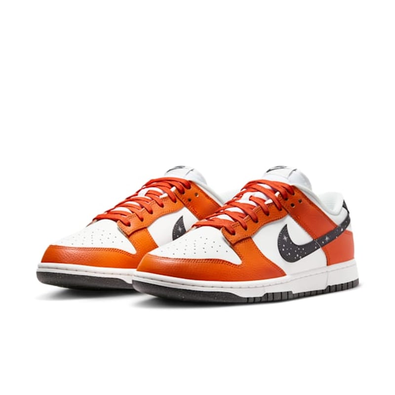 Nike Dunk Low FV6909-800 05