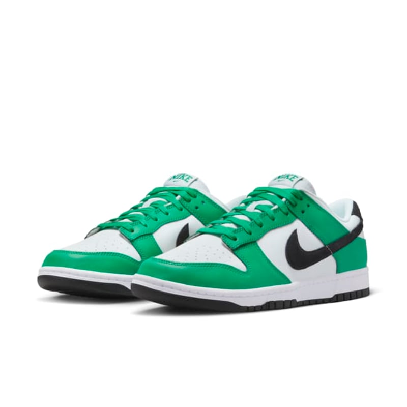 Nike Dunk Low FN3612-300 05