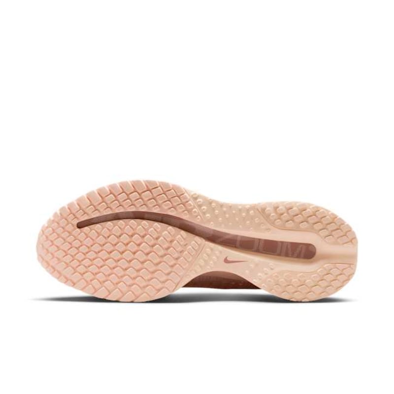 Nike Pegasus Premium HQ2593-801 02