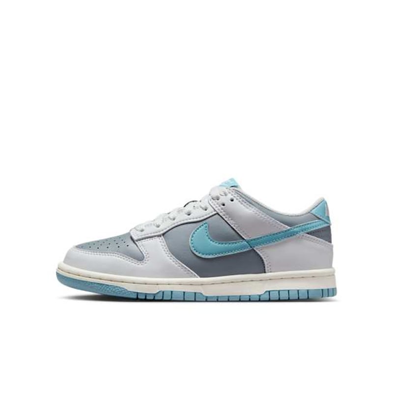 Nike Dunk Low FB9109-008 01