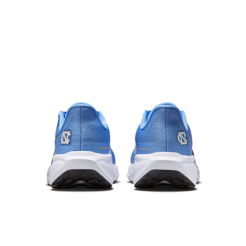 Nike Pegasus 41 IB3263-400 06