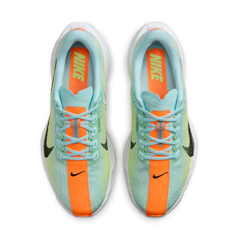 Nike Pegasus Plus FQ7261-400 04
