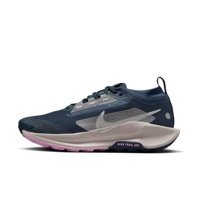 Nike Pegasus Trail 5 GORE-TEX FQ0912-400 01