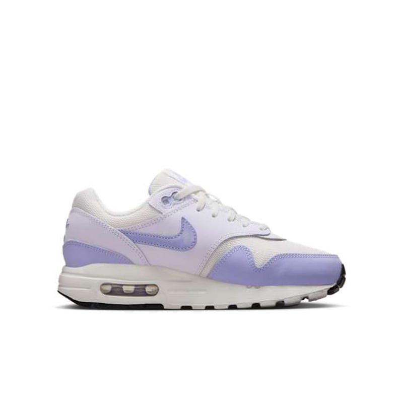 Nike Air Max 1 DZ3307-011 03