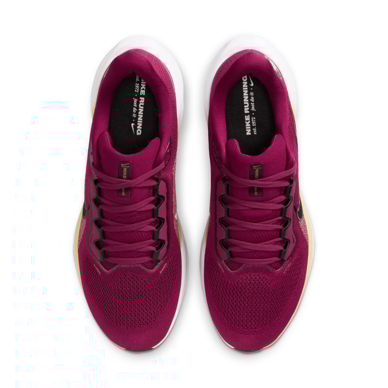 Nike Pegasus 41 IB3255-600 04