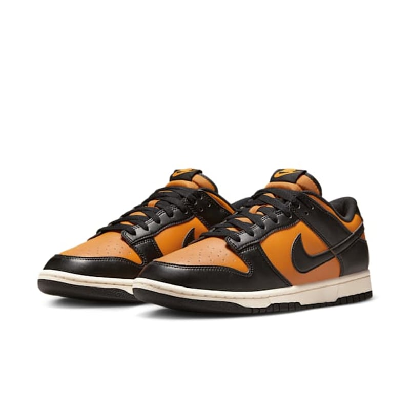 Nike Dunk Low Retro HF5441-701 05