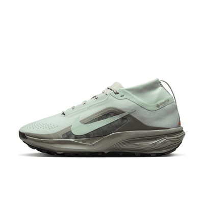 Nike ACG Pegasus GORE-TEX terrengløpesko "Light Silver & Light Army" | Herre | Utendørs | 01 | SPORTSHOWROOM