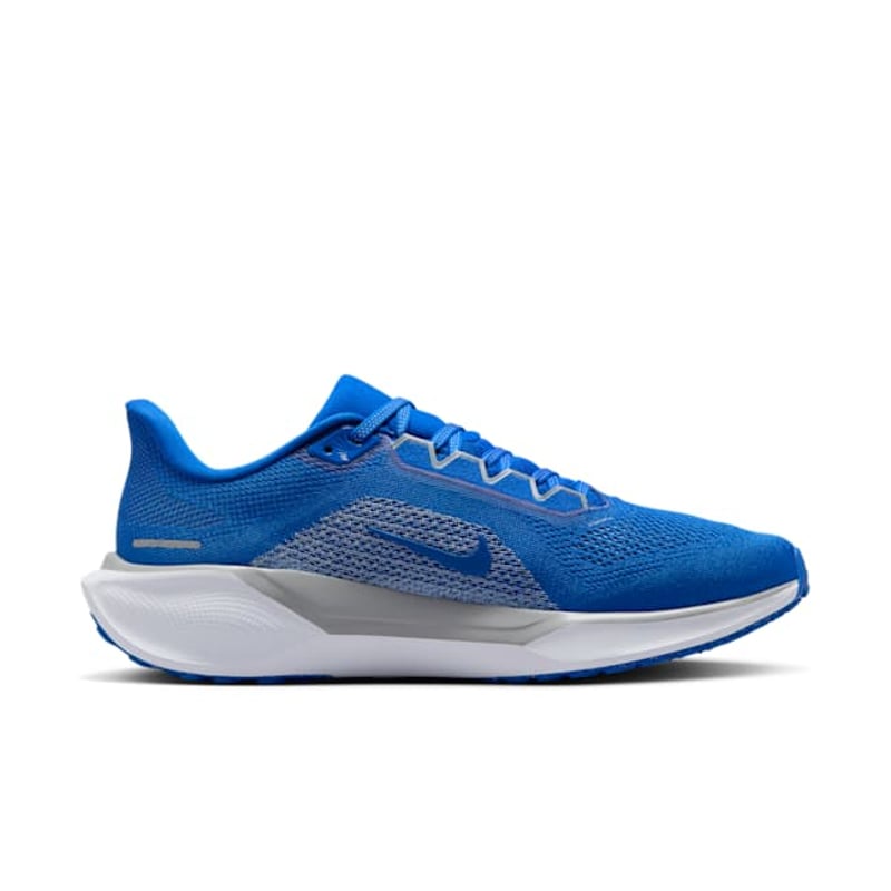 Nike Pegasus 41 FZ5117-400 03
